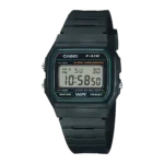 Casio F-91W-3DG price in Pakistan - classic square digital watch