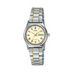 Casio LTP-V006SG-9B price in Pakistan - two tone Roman numeral watch